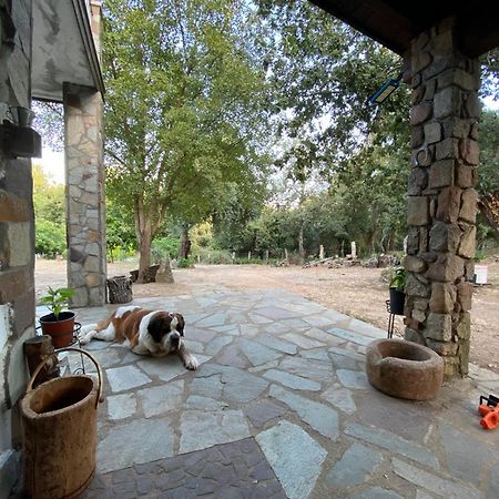 Agriturismo Pranu Sorgono Luaran gambar