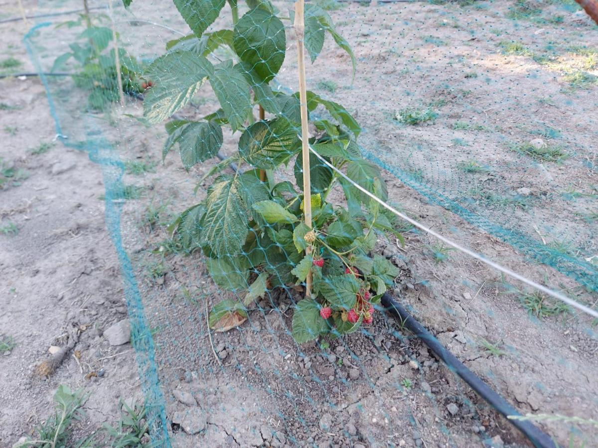 Agriturismo Pranu Sorgono Luaran gambar