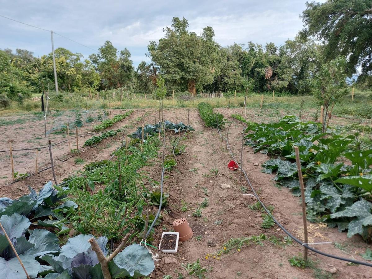 Agriturismo Pranu Sorgono Luaran gambar