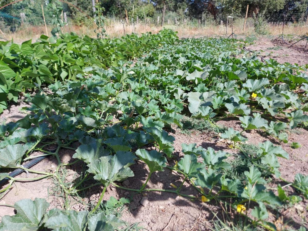 Agriturismo Pranu Sorgono Luaran gambar