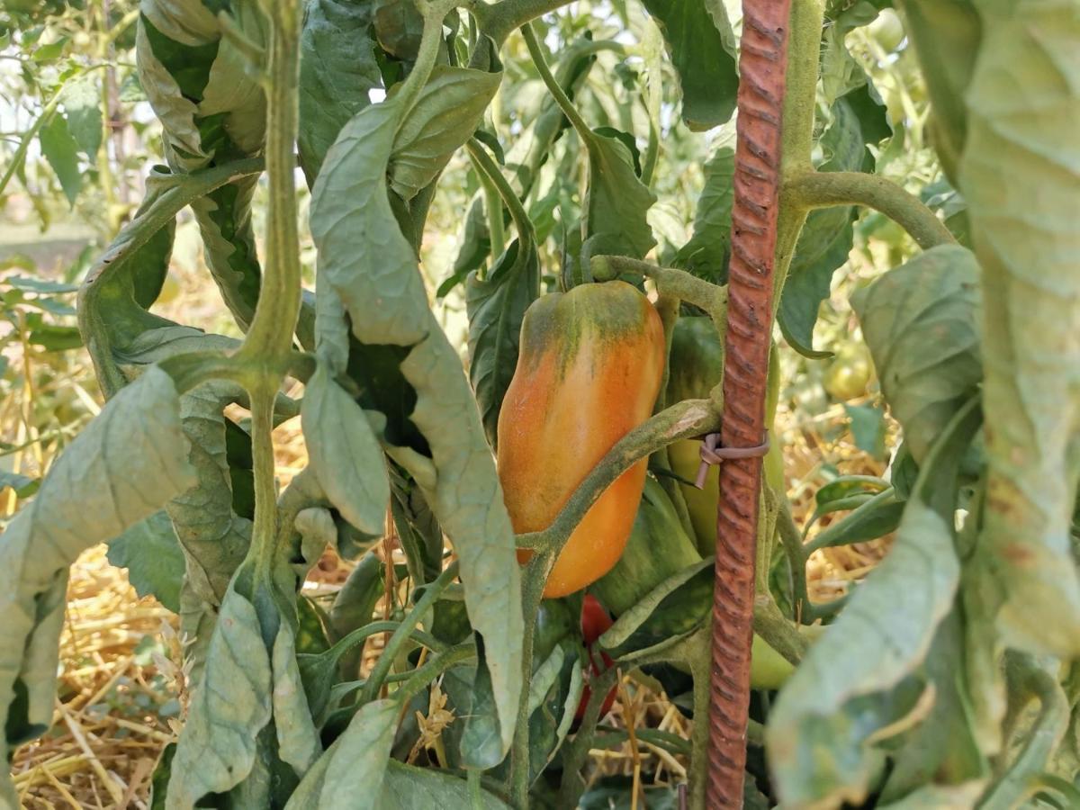 Agriturismo Pranu Sorgono Luaran gambar