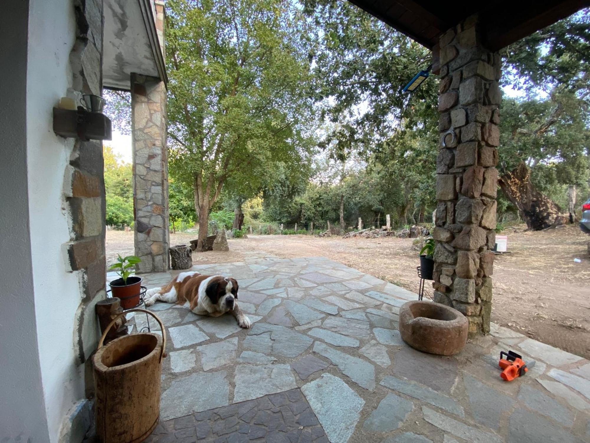 Agriturismo Pranu Sorgono Luaran gambar