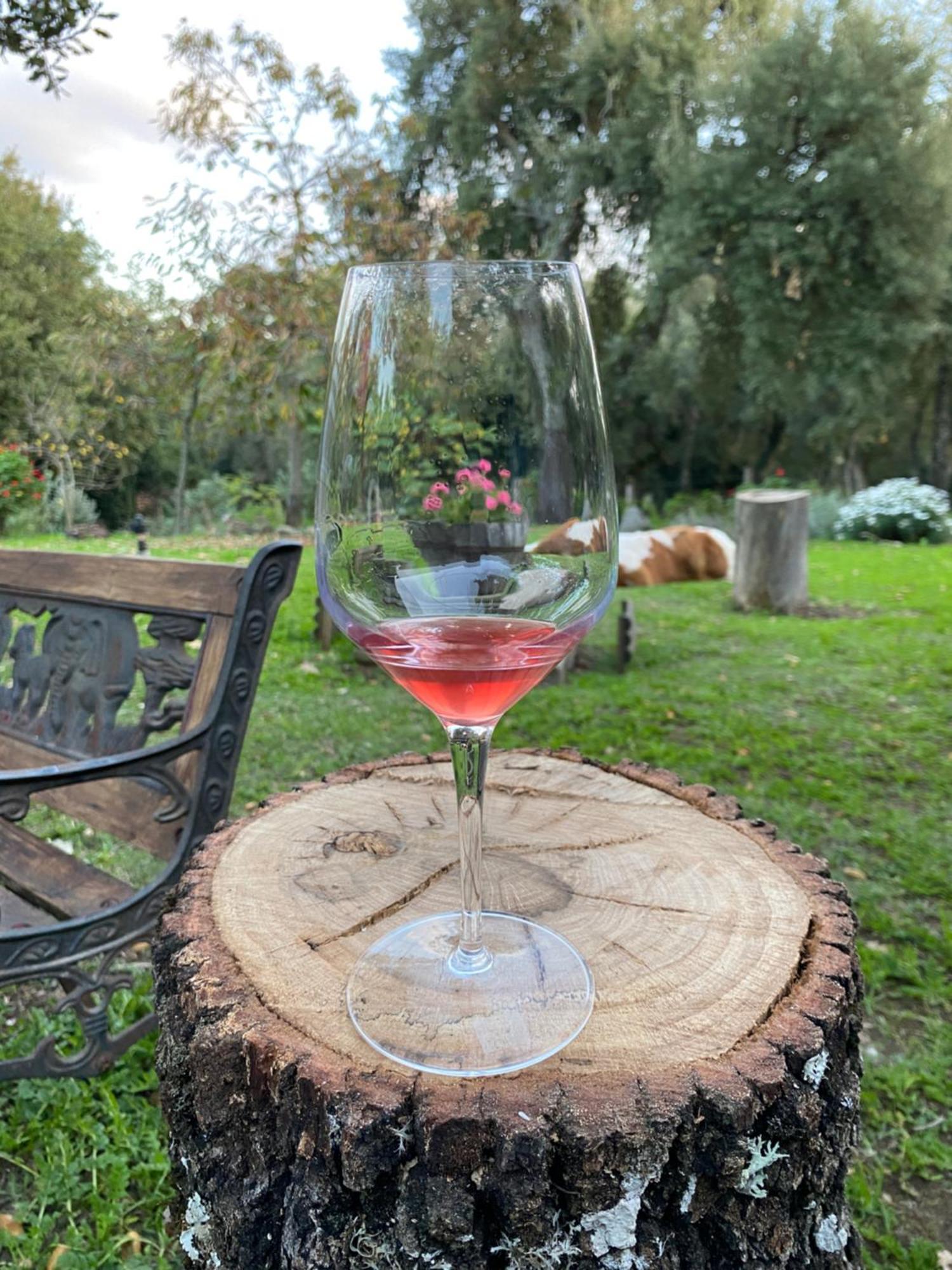 Agriturismo Pranu Sorgono Luaran gambar
